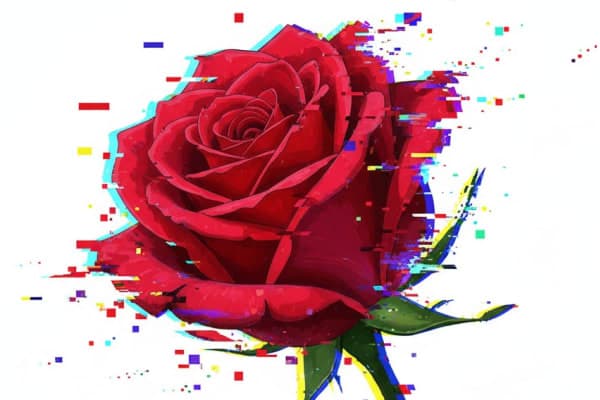 A digital illustration of a red rose, the traditional Labour Party symbol, breaking apart into colourful digital glitches on a white background — symbolising communication failure or a distorted message.